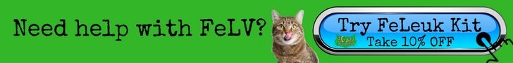 Feline Leukemia can be helped with the all natural FeLeuk Kit