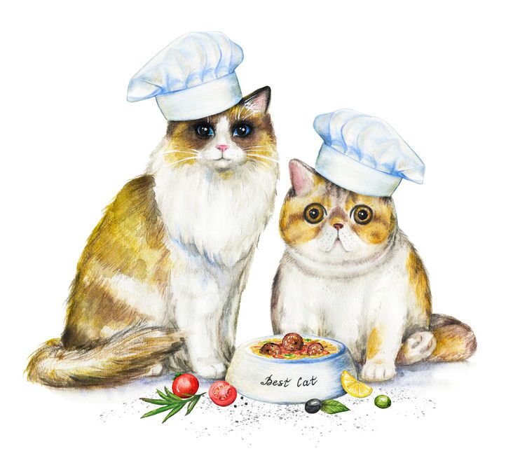 If you're looking for a gourmet, healthy, DIY Cat Food Recipe you can find it right here. This is an easy recipe that anyone can make right at home!