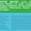 Cat Probiotics ingredients