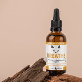 Breathe - Image 2